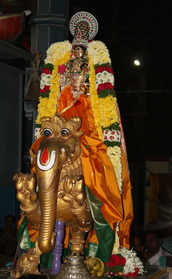 Pune Sri Ahobila Mutt Sri Balaji Mandir Brahmotsavam day 5 & 6 2014 23