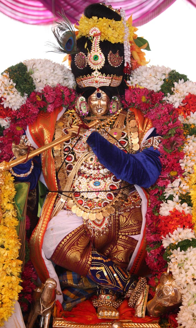 Pune Sri Ahobila Mutt Sri Balaji Mandir Brahmotsavam day 7 & 8 2014 05