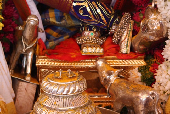 Pune Sri Ahobila Mutt Sri Balaji Mandir Brahmotsavam day 7 & 8 2014 06