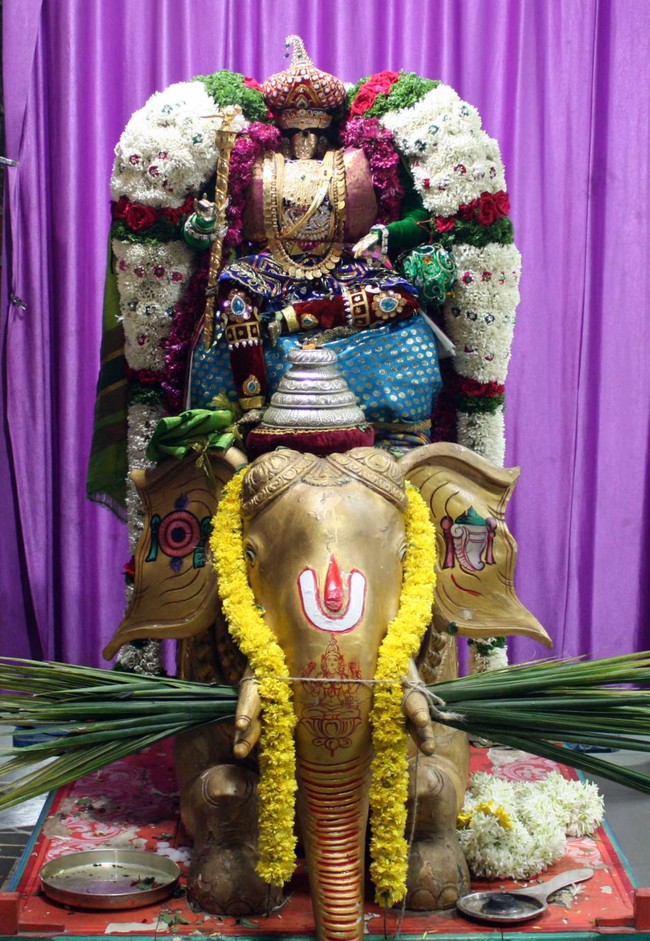 Pune Sri Ahobila Mutt Sri Balaji Mandir Brahmotsavam day 7 & 8 2014 07