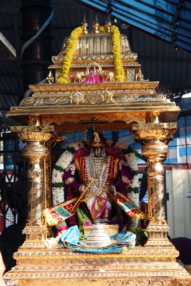 Pune Sri Ahobila Mutt Sri Balaji Mandir Brahmotsavam day 7 & 8 2014 14