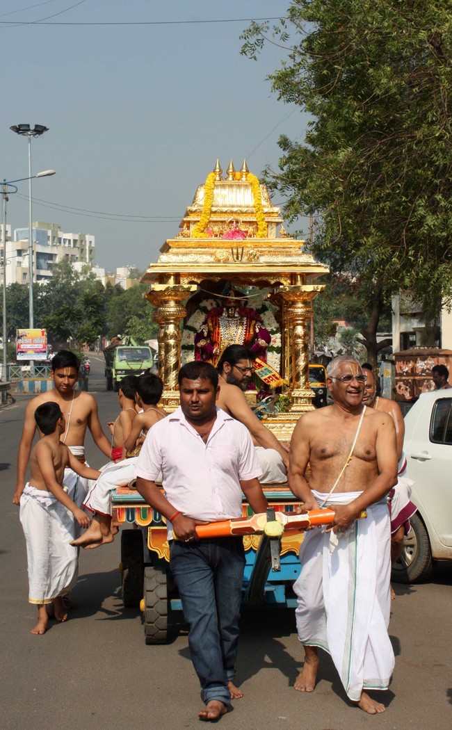 Pune Sri Ahobila Mutt Sri Balaji Mandir Brahmotsavam day 7 & 8 2014 17