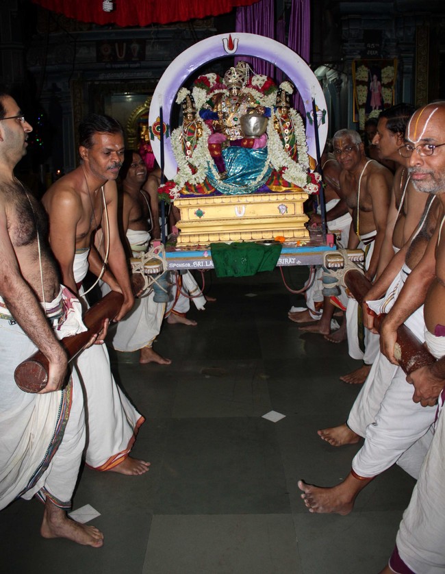 Pune Sri Ahobila Mutt Sri Balaji Mandir Brahmotsavam day 7 & 8 2014 21