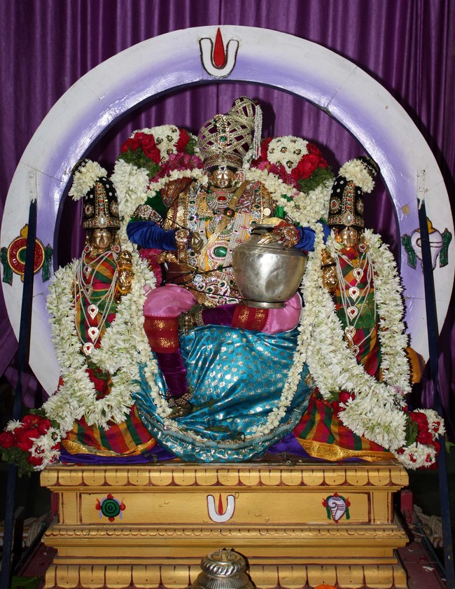 Pune Sri Ahobila Mutt Sri Balaji Mandir Brahmotsavam day 7 & 8 2014 22