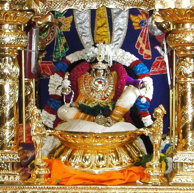 Pune Sri Ahobila Mutt Sri Balaji Mandir Panchami Theertha Utsavam10