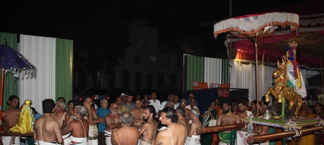 Pune sri Ahobila Mutt Balaji mandir brahmotsavam day 8 & 9 2014 03