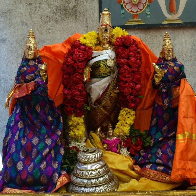 Pune sri Ahobila Mutt Balaji mandir brahmotsavam day 8 & 9 2014 34