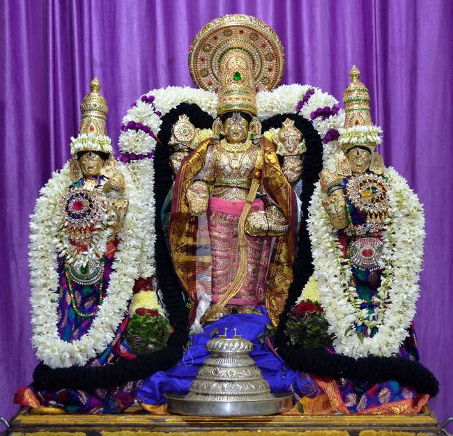 Pune sri Ahobila Mutt Balaji mandir brahmotsavam day 8 & 9 2014 39