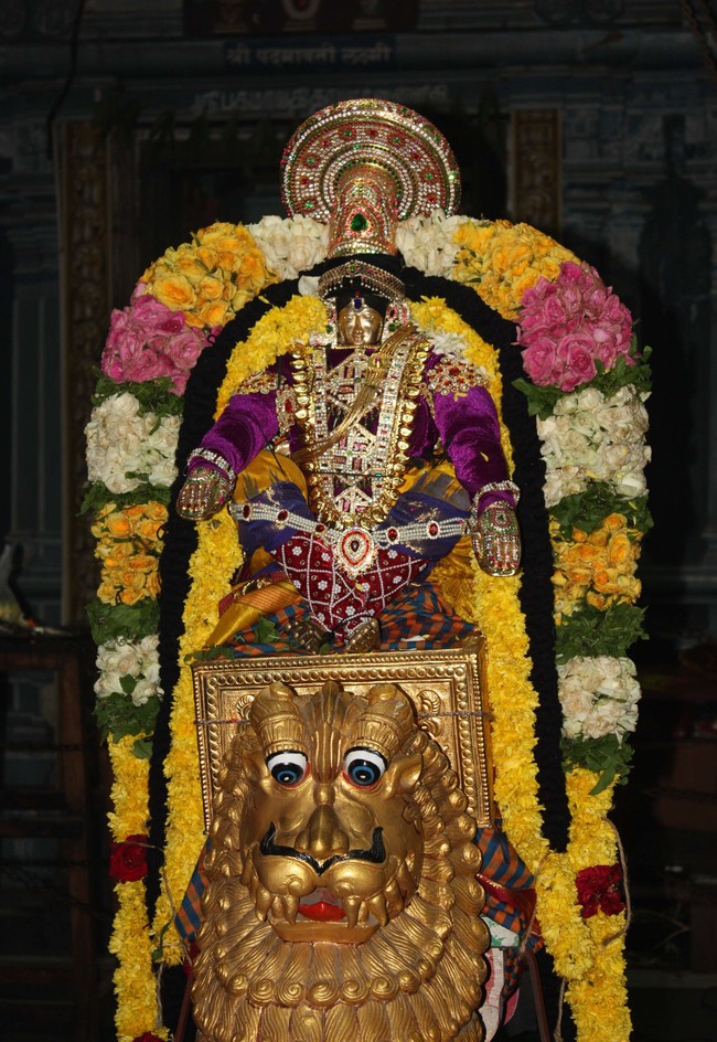 Pune sri Balaji Mandir brahmotsavam day 1 & 2  2014 13