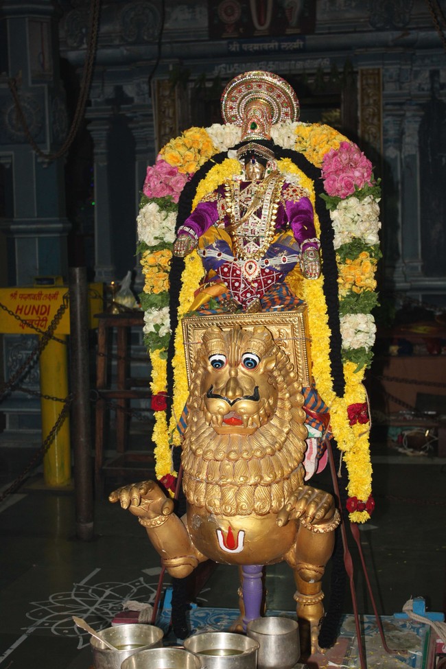 Pune sri Balaji Mandir brahmotsavam day 1 & 2  2014 14