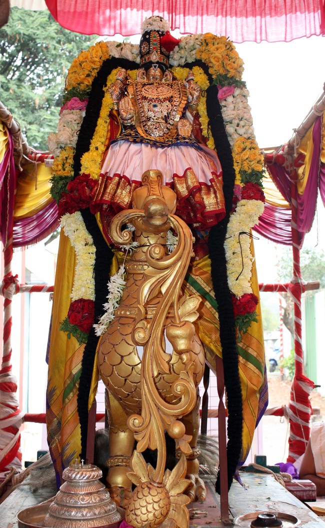 Pune sri Balaji Mandir brahmotsavam day 3 & 4  2014 02