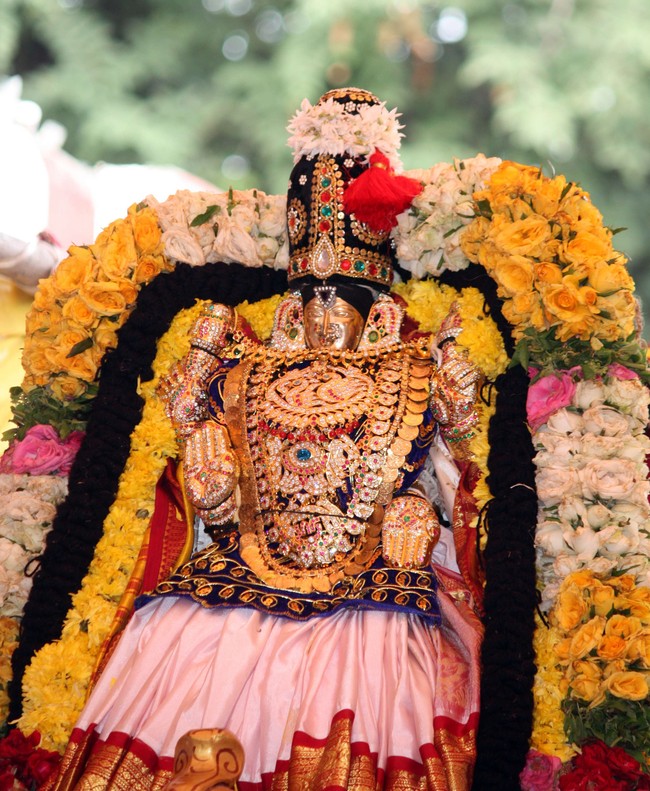 Pune sri Balaji Mandir brahmotsavam day 3 & 4  2014 04