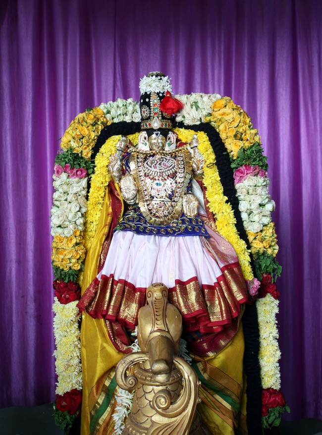 Pune sri Balaji Mandir brahmotsavam day 3 & 4  2014 08