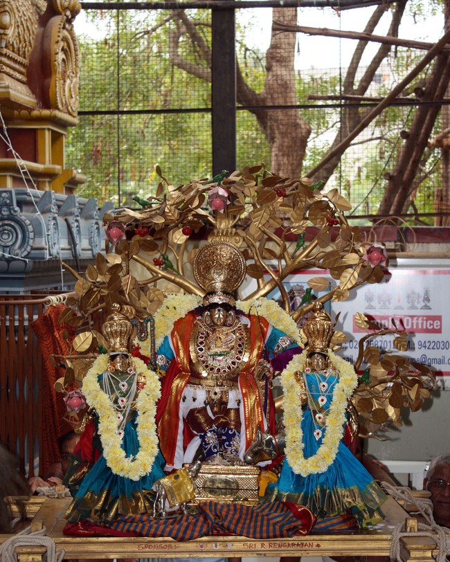 Pune sri Balaji Mandir brahmotsavam day 3 & 4  2014 17
