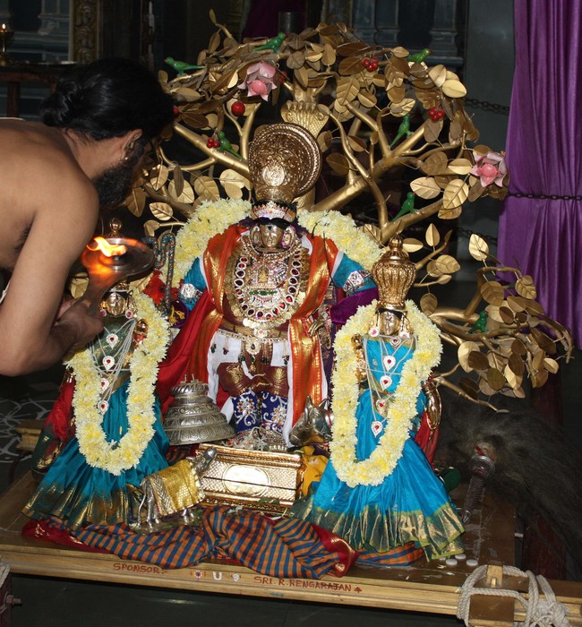 Pune sri Balaji Mandir brahmotsavam day 3 & 4  2014 19