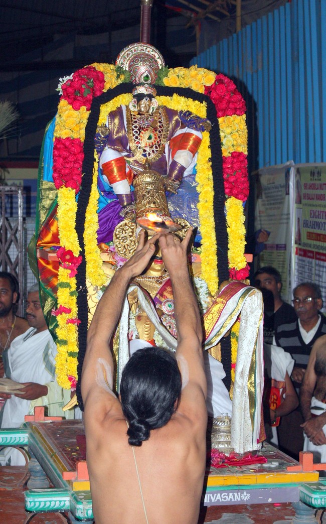 Pune sri Balaji Mandir brahmotsavam day 3 & 4  2014 28
