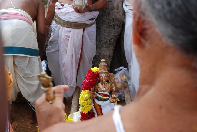 Satyakalam Swami Desikan Thula Maasa Avabrutha Snananam 2014 03