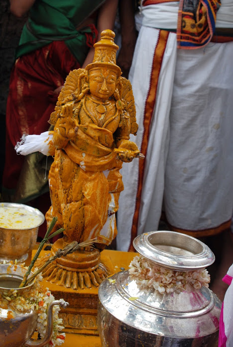 Satyakalam Swami Desikan Thula Maasa Avabrutha Snananam 2014 04