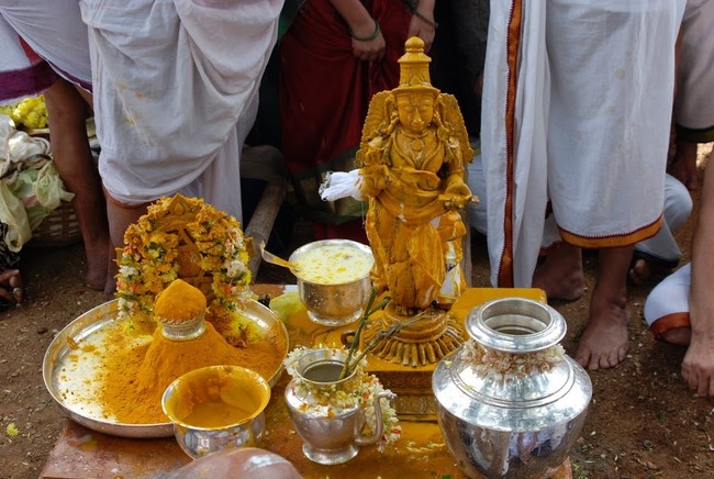 Satyakalam Swami Desikan Thula Maasa Avabrutha Snananam 2014 07