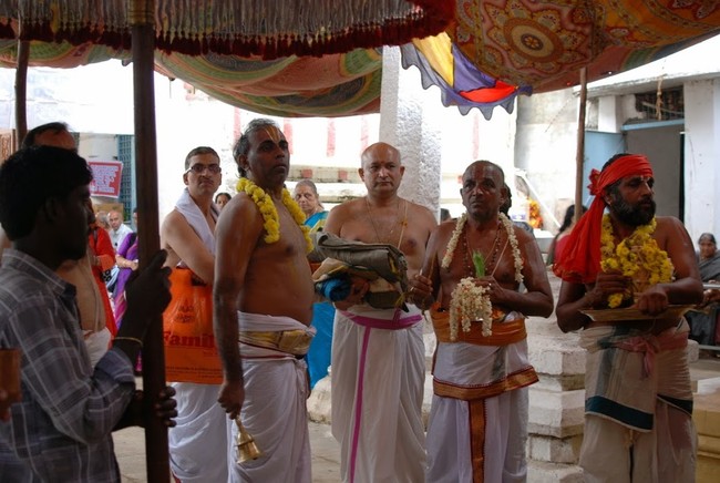 Satyakalam Swami Desikan Thula Maasa Avabrutha Snananam 2014 44