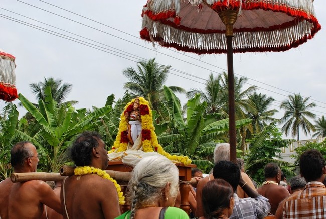 Satyakalam Swami Desikan Thula Maasa Avabrutha Snananam 2014 48