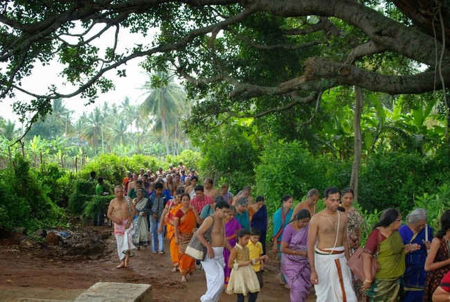 Satyakalam Swami Desikan Thula Maasa Avabrutha Snananam 2014 56