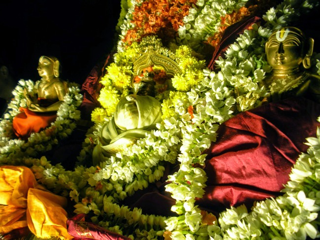 Srimad Abhinava Srinivasa Brahmatantra Swatantra Swami 121 Thirunakshatra Utsavam - Day 3 2014-44