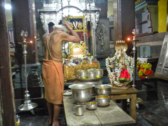 Srimad Abhinava Srinivasa Brahmatantra Swatantra Swami 121 Thirunakshatra Utsavam - Day 3 2014-54