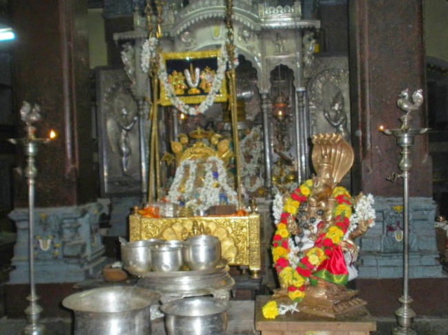 Srimad Abhinava Srinivasa Brahmatantra Swatantra Swami 121 Thirunakshatra Utsavam - Day 4 2014-06