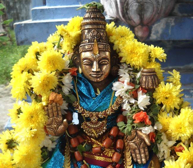 Swathi Homam and Thirumanjanam at Arasanipalai Sri Lakshmi Narayana Perumal temple 2014-02