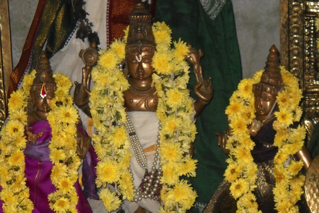 Swathi Homam and Thirumanjanam at Arasanipalai Sri Lakshmi Narayana Perumal temple 2014-04