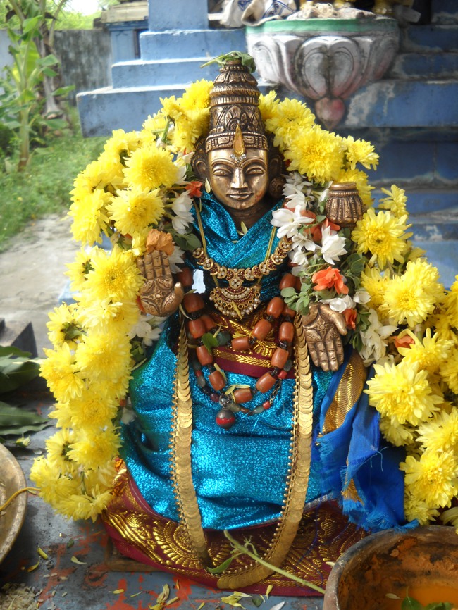 Swathi Homam and Thirumanjanam at Arasanipalai Sri Lakshmi Narayana Perumal temple 2014-08