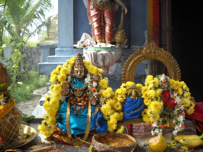 Swathi Homam and Thirumanjanam at Arasanipalai Sri Lakshmi Narayana Perumal temple 2014-14