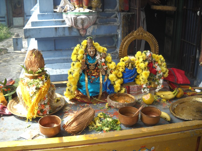 Swathi Homam and Thirumanjanam at Arasanipalai Sri Lakshmi Narayana Perumal temple 2014-15