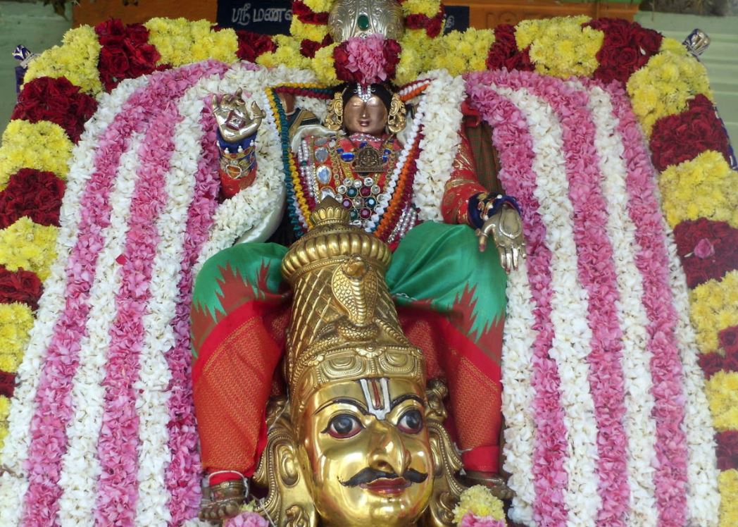 THirukannamangai Bhakthavatsala Perumal Temple pavithrotsava Udhaya garuda Sevai