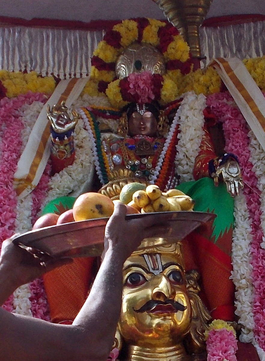 THirukannamangai Sri Bhakthavatsala Perumal Temple Pavithrotsavam day 3 2014 11
