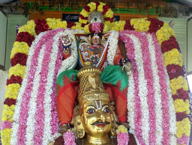THirukannamangai Sri Bhakthavatsala Perumal Temple Pavithrotsavam day 3 2014 19