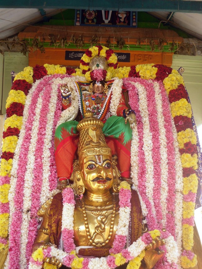THirukannamangai Sri Bhakthavatsala Perumal Temple Pavithrotsavam day 3 2014 21