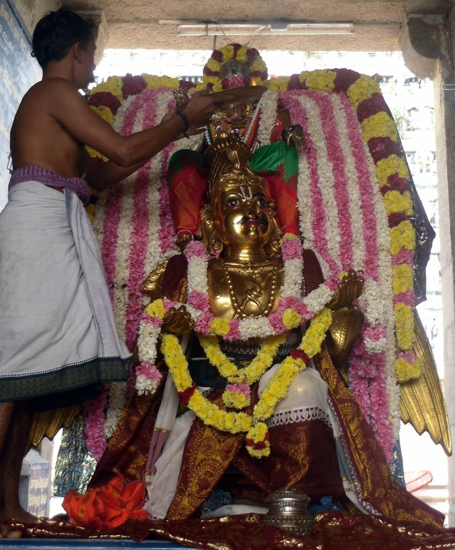 THirukannamangai Sri Bhakthavatsala Perumal Temple Pavithrotsavam day 3 2014 23