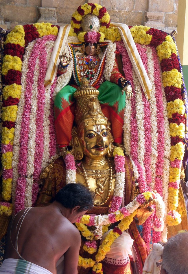 THirukannamangai Sri Bhakthavatsala Perumal Temple Pavithrotsavam day 3 2014 40