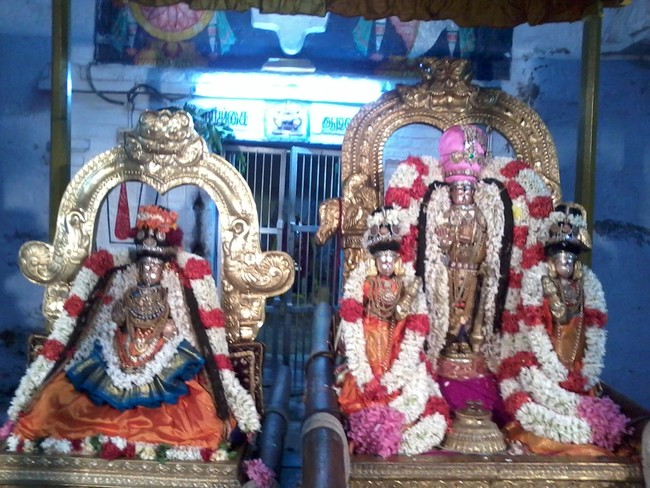 THiruvekka Poigai Azhwar Avatara utsavam day 10  evening Purappadu 10