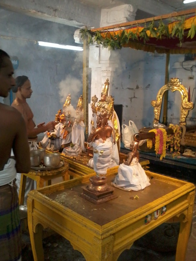 THiruvekka Poigai Azhwar Avatara utsavam day 10  morning thirumanjanam 05