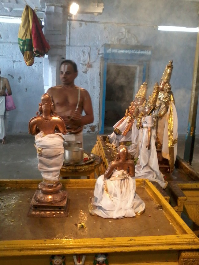 THiruvekka Poigai Azhwar Avatara utsavam day 10  morning thirumanjanam 06