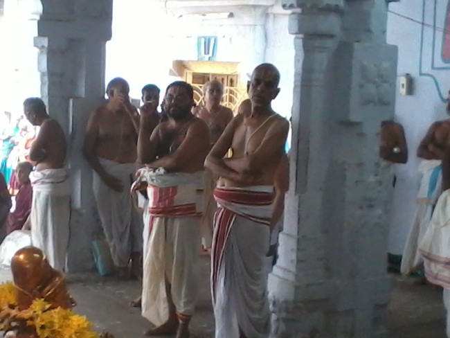 THiruvekka Poigai Azhwar Avatara utsavam day 10  morning thirumanjanam 13