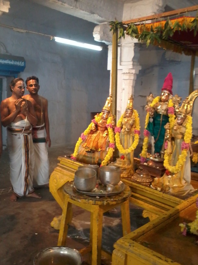THiruvekka Poigai Azhwar Avatara utsavam day 10  morning thirumanjanam 15