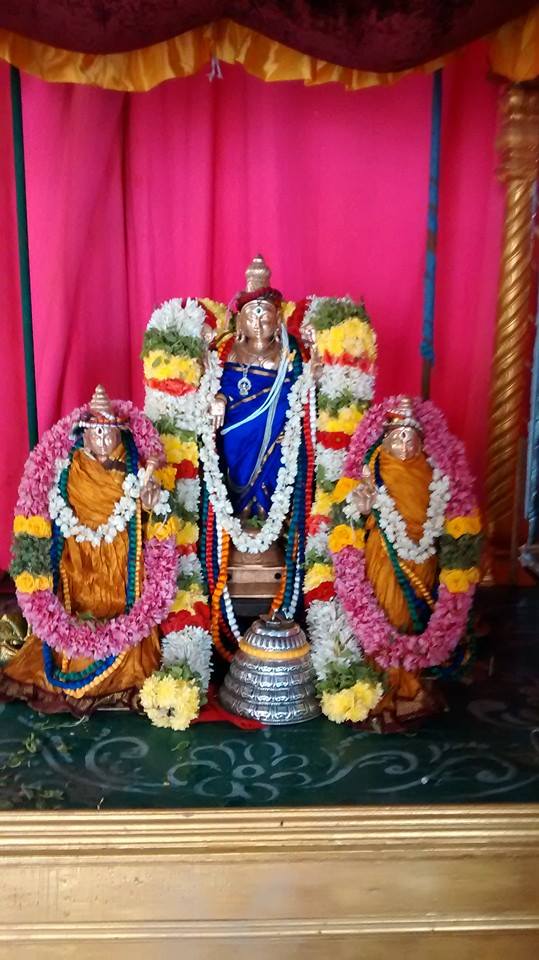 Taramani Sri Prasanna Venkatesa Perumal Temple Pavithrotsavam day 2 2014 04