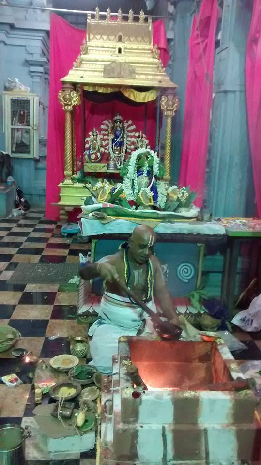 Taramani Sri Prasanna Venkatesa Perumal Temple Pavithrotsavam day 2 2014 07