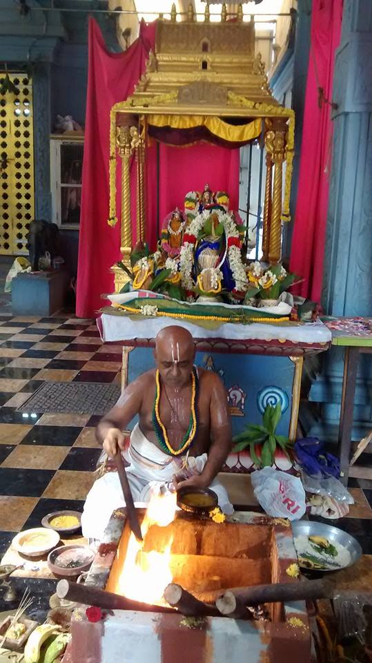 Taramani Sri Prasanna Venkatesa Perumal Temple Pavithrotsavam day 2 2014 09