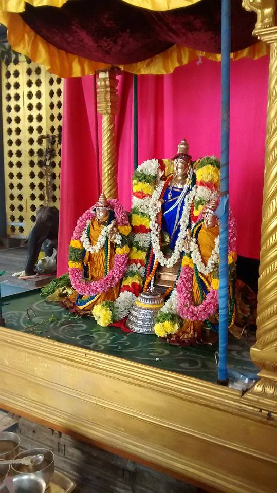 Taramani Sri Prasanna Venkatesa Perumal Temple Pavithrotsavam day 2 2014 10