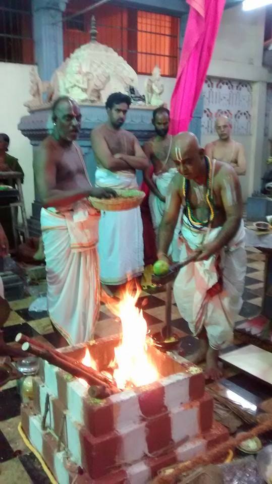 Taramani Sri Prasanna Venkatesa Perumal Temple Pavithrotsavam day 2 2014 11